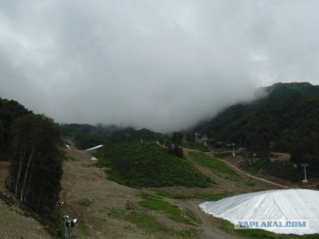 Отпуск в Сочи