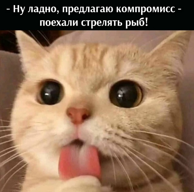 Утиная охота.