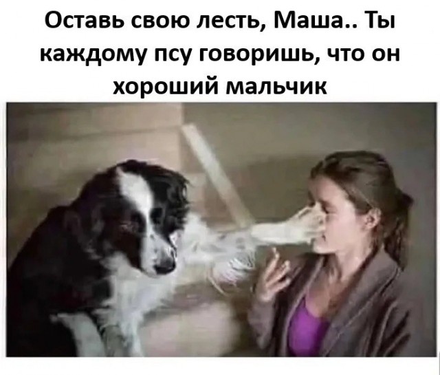 Картинки для деградации 84 (разной степени свежести)
