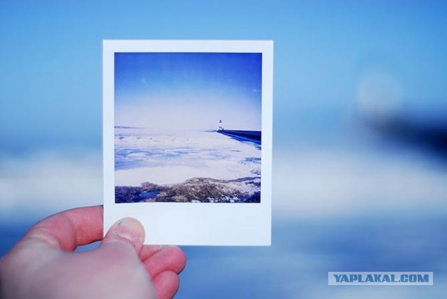 Факты о Polaroid