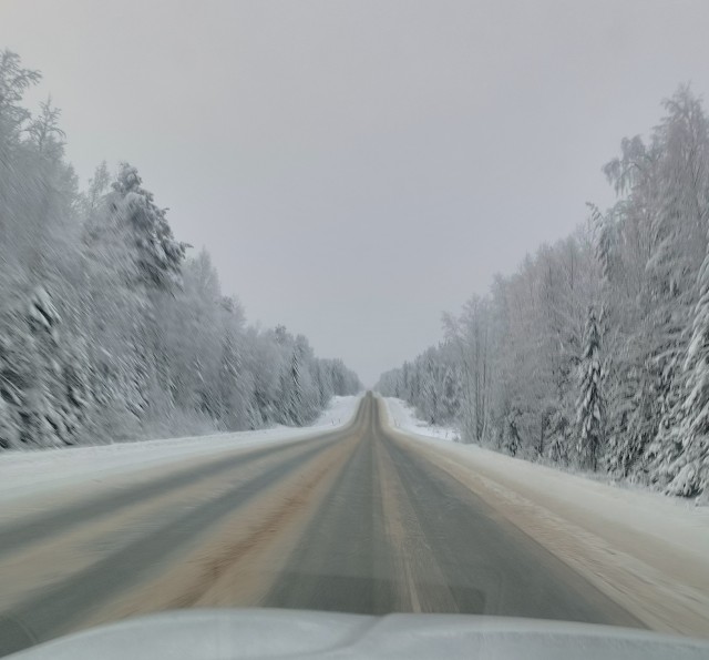 Зимняя дорога