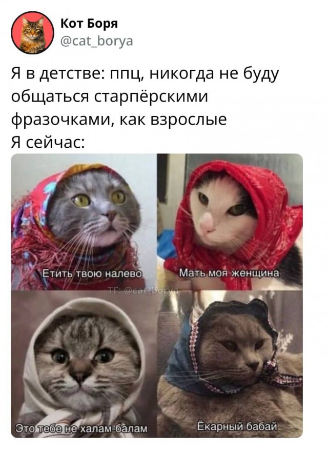 Переводчик с бабушкинского