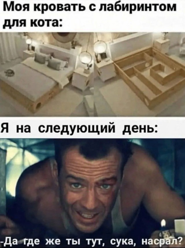 Котямбосы