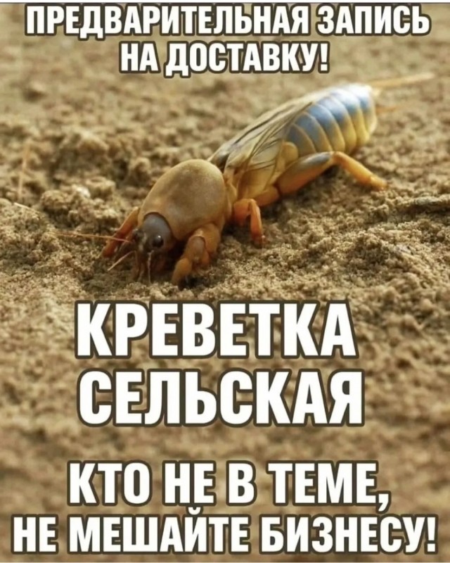 Четверговые картинки
