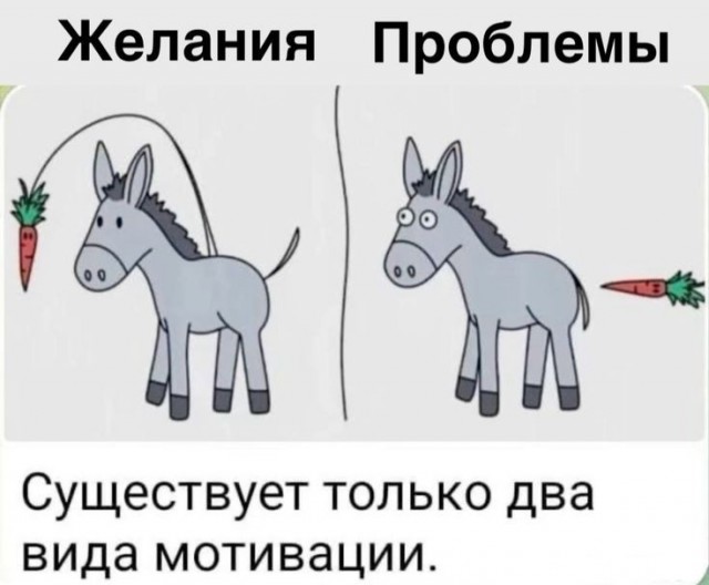 Правильная мотивация