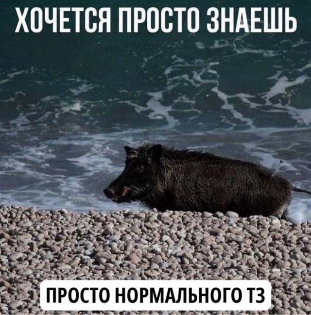 Веселое настроение в картинках 10.08.26