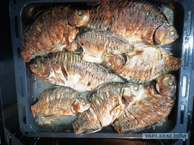 Мужская кулинария. Караси в сметане