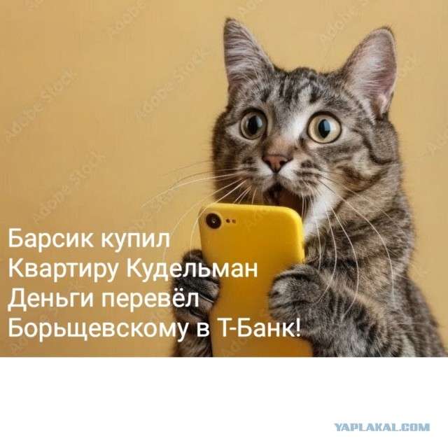 О рекламе и котиках
