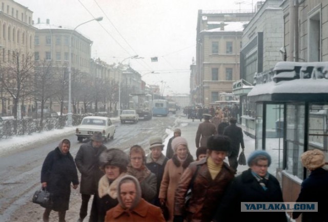 Как я встретил свою жену