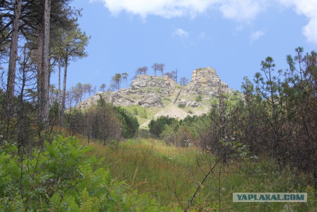 Дорога из Киева и из Москвы в Ялту.