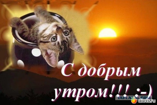 Чёрт, чёрт, чёрт!