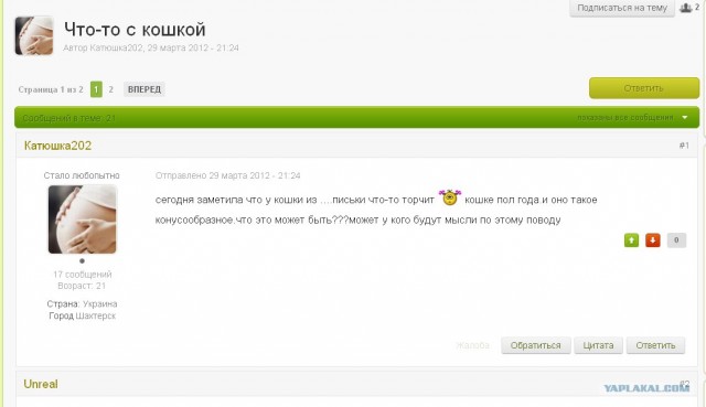 Что-то с кошкой