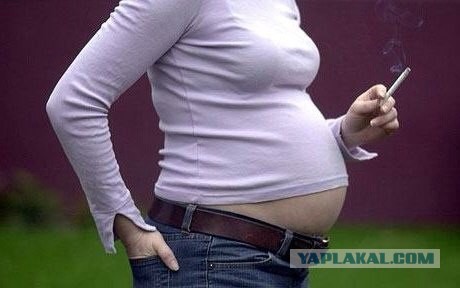 Ибо нехуй