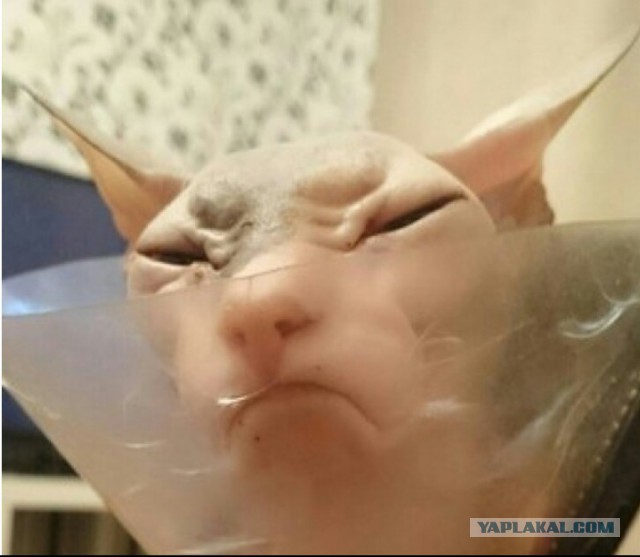10 выражений лица, знакомых всем, кто выпивает