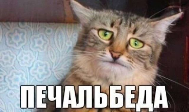 Стыд и позор