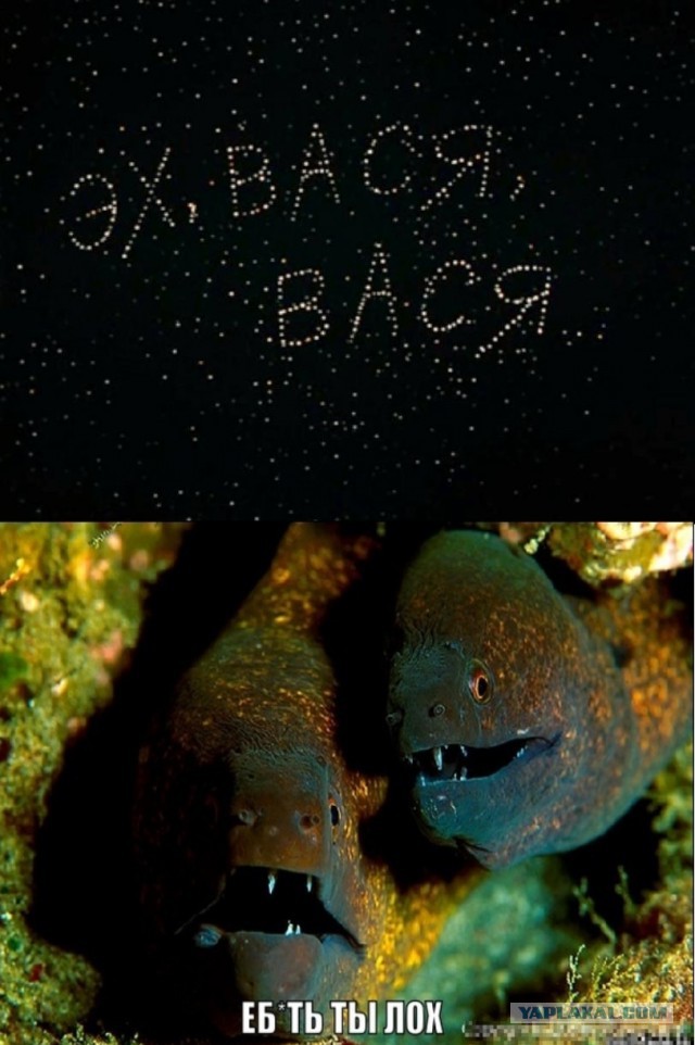 Счастливый день