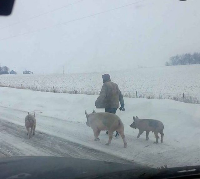 Среда в картинках