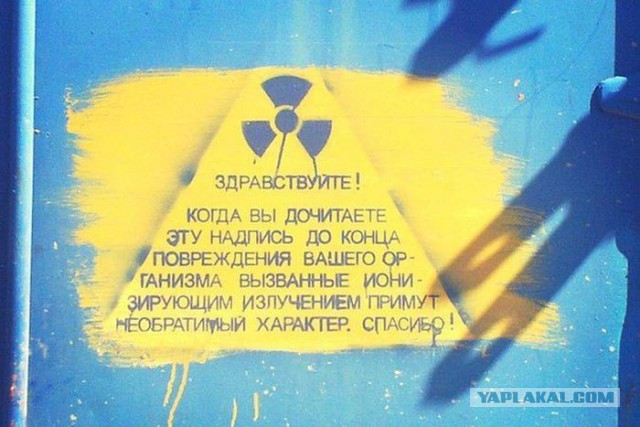 Порция картинок из сети