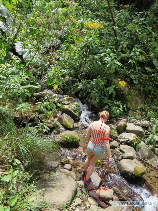 Исчезновение и трагическая гибель Лисанн Фрон и Крис Кремерс