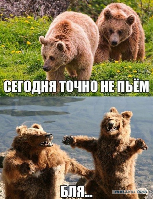 Подборка картинок