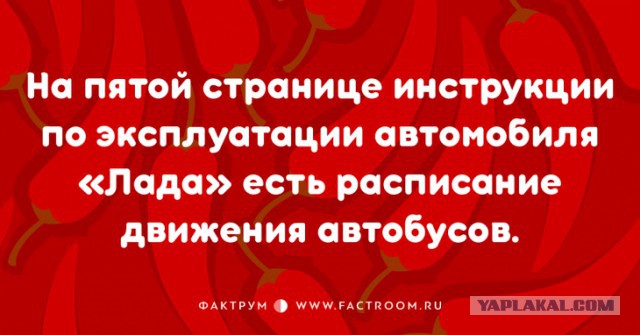 Высказывания из Интернета