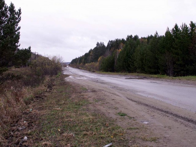 Синячихи.