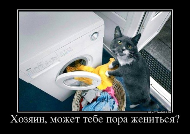 Личное и персональное мнение по разведенкам