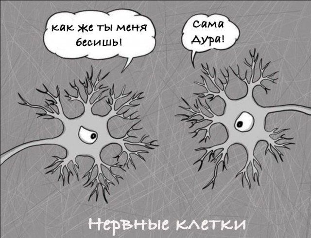 Немного нестандартного юмора в картинках