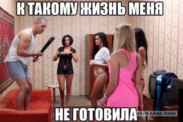 Яйцеклетки, на старт! За сперматозоидом - бегом марш!