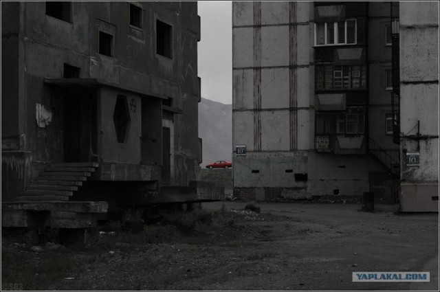 Подснежники гробы. г. Норильск