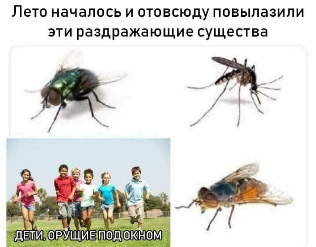 Не очень адекватный юмор