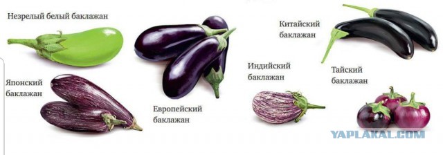 Кулинарная общалка
