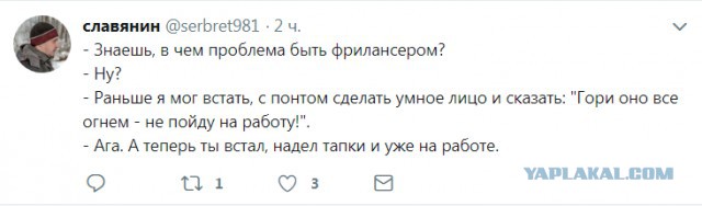 Смешные комментарии из социальных сетей 03.08.2018