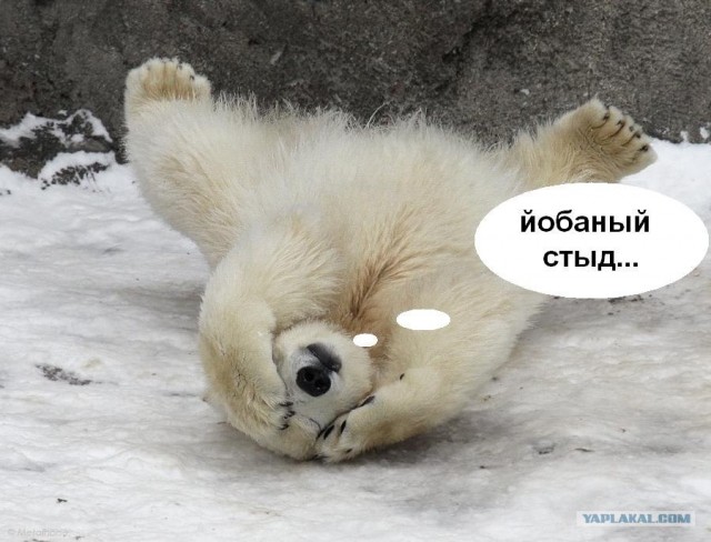 Ну вот когда же уже эта неделя закончится?!