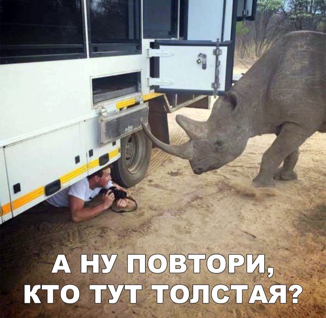 Нестандартный юмор