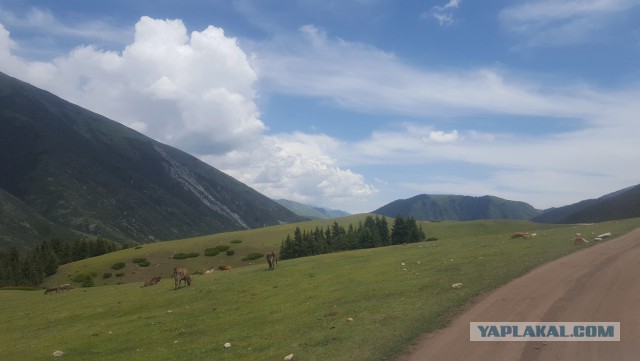 Иссык куль 2019