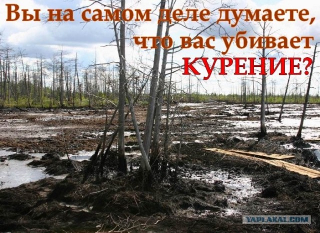 Бросаем курить! (45 доказательств)