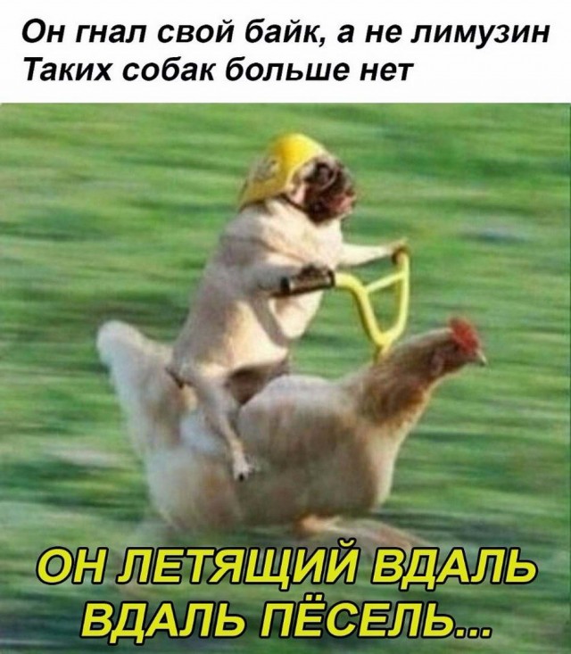 Картинки разные нужны, картинки всякие важны