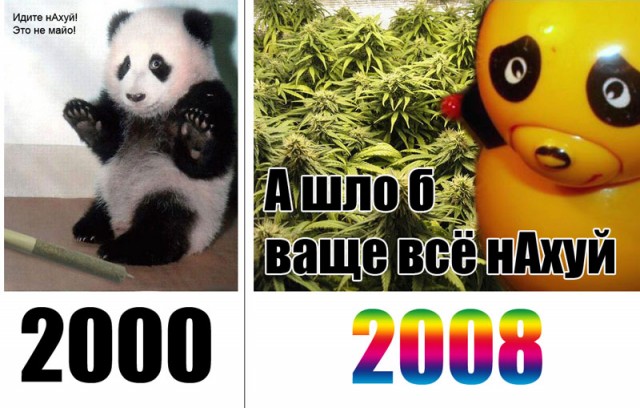 Фотожаба: Панда спалился!