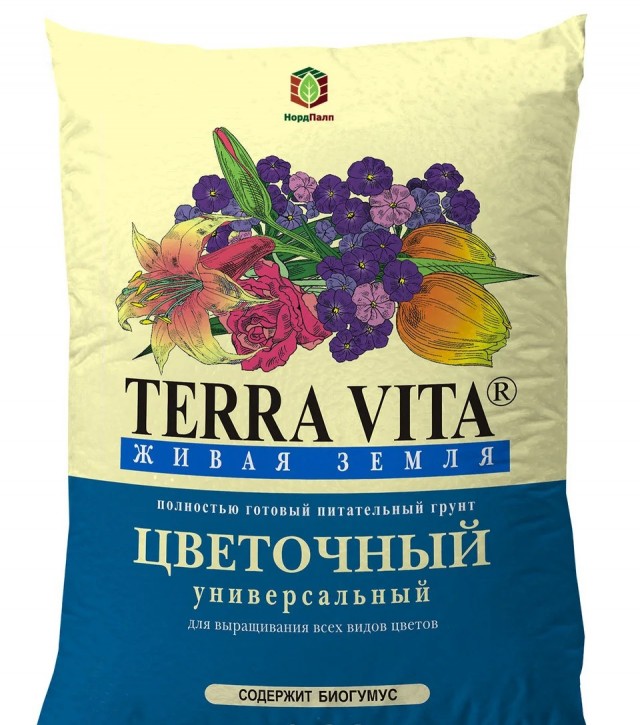 Забота государства