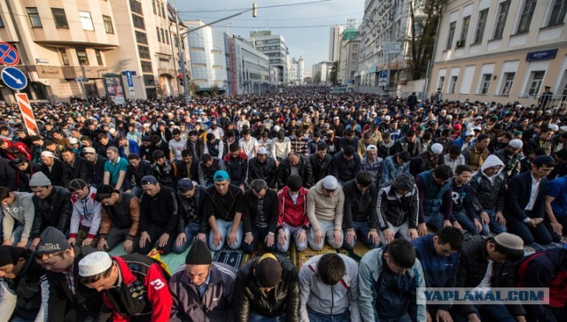 У белых в штатах начало подгорать