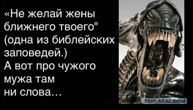 Бредзона 28.09.20