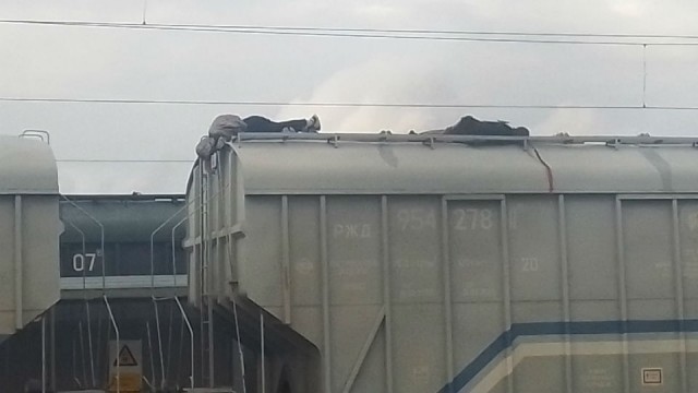 В Татищеве парень и девушка полезли через крышу поезда и погибли