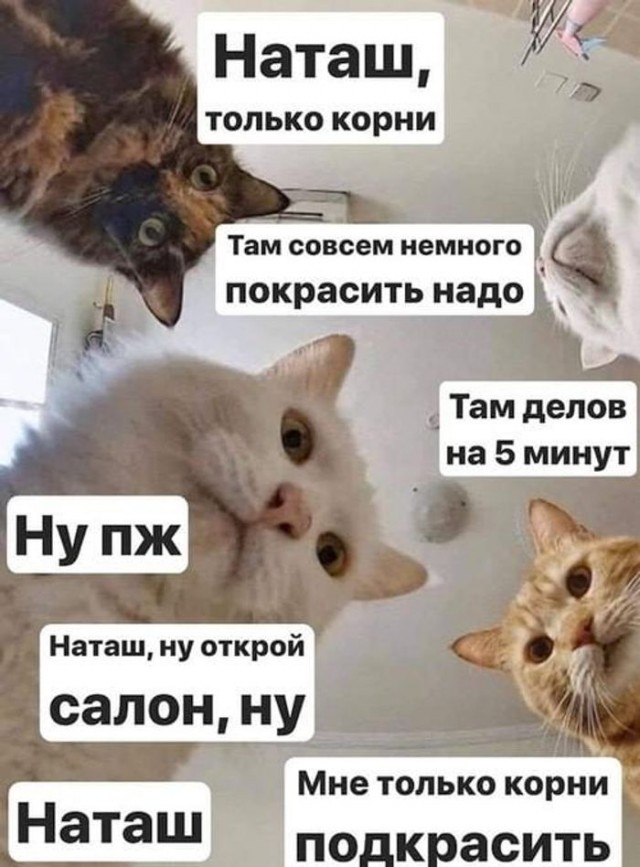 Мемы про Наташу