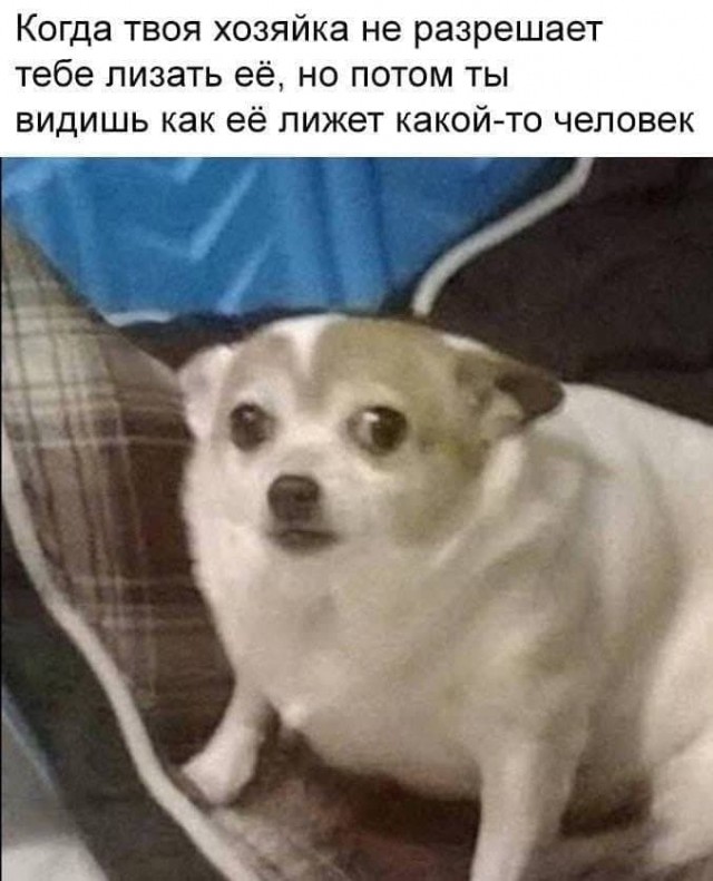 Фу, пошлятина одна