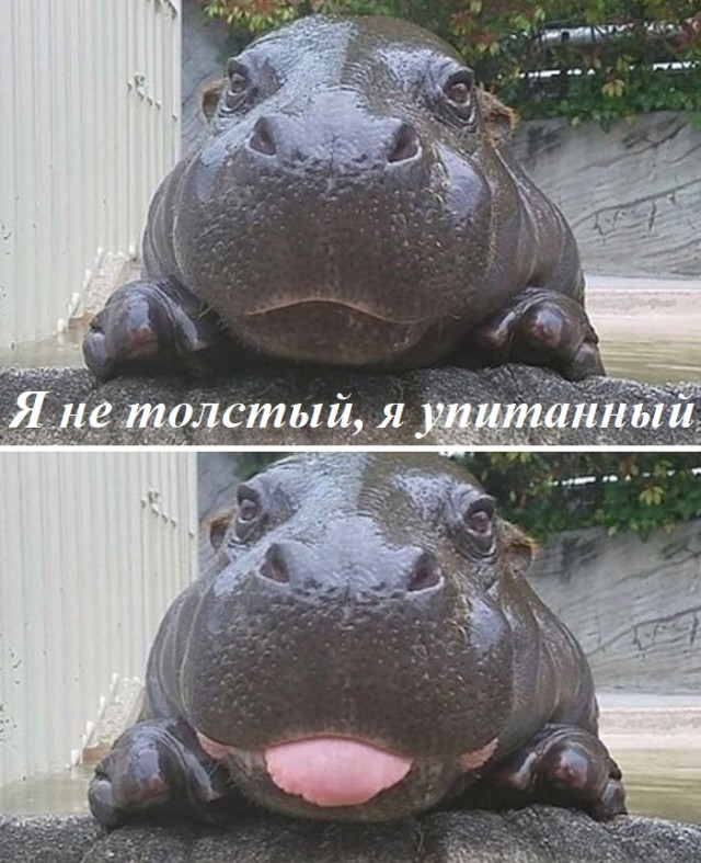 Картинки и мемы для настроения