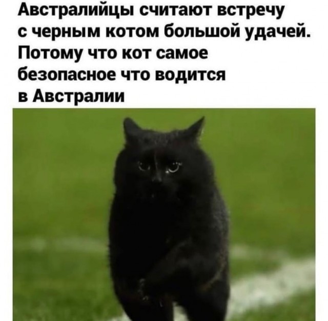 Так себе картинки 24.12.21
