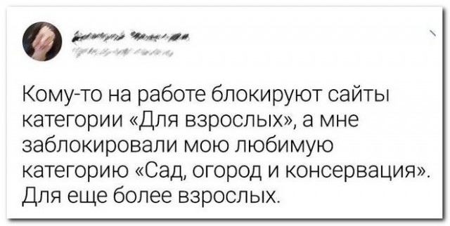 Забавные комментарии из социальных сетей (27.12.21)