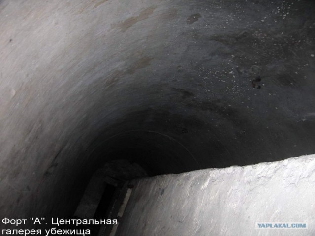 Форты Бреста