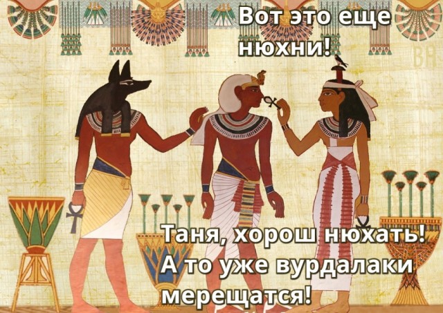 Всяческие картинки 12.01.2022
